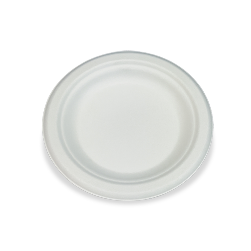 Compostable Bagasse Plate